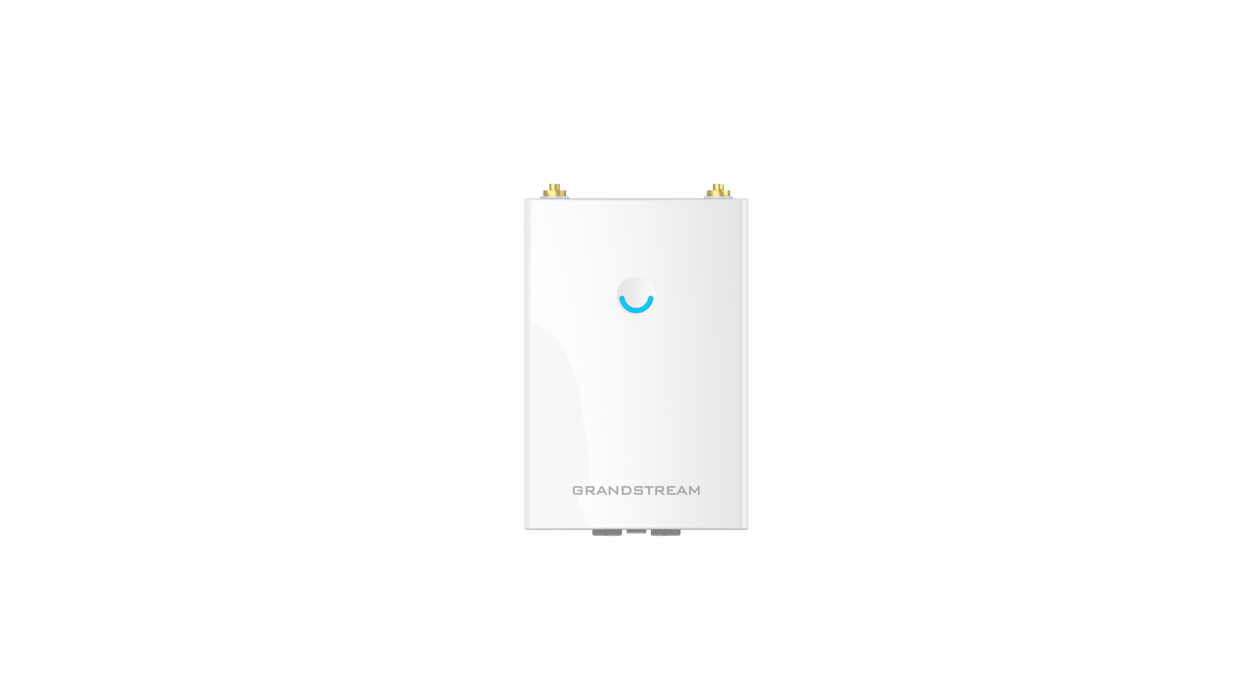 Grandstream Enterprise WiFi 5 Long Range Outdoor  AP